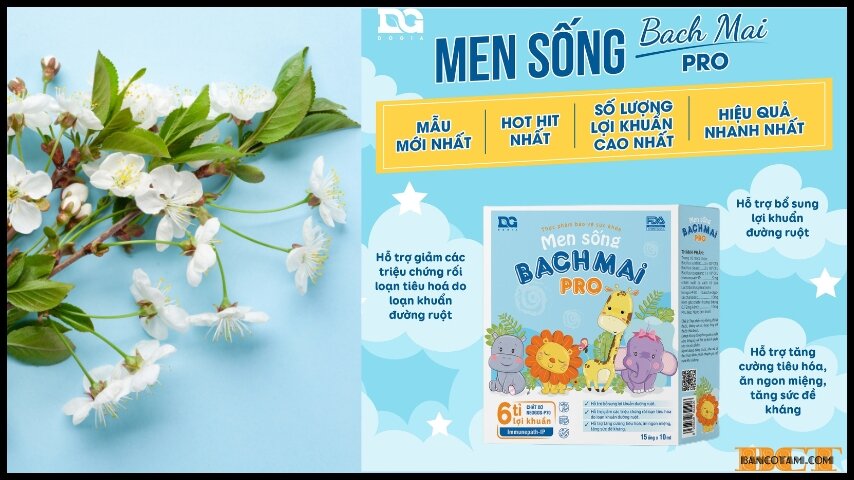 Men Song Bach Mai Pro.jpg