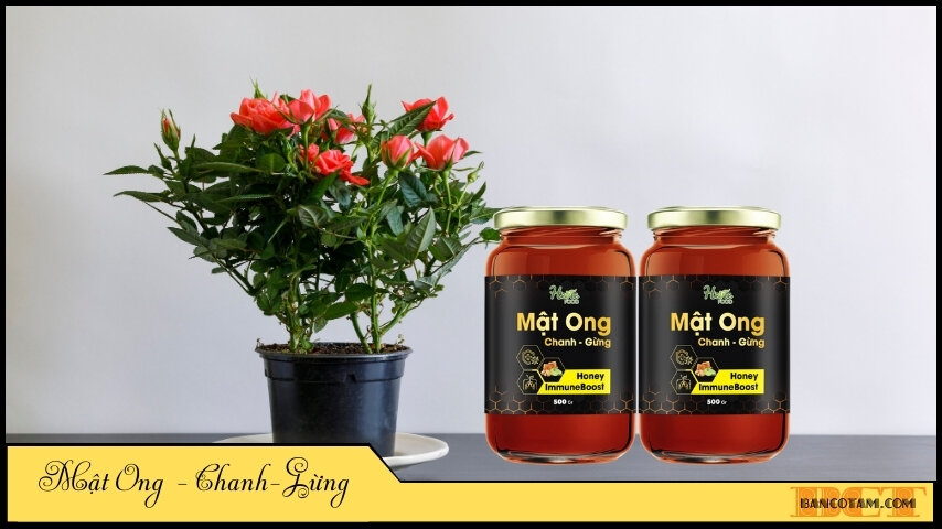 uong nuoc chanh gung mat ong có tac dung gi